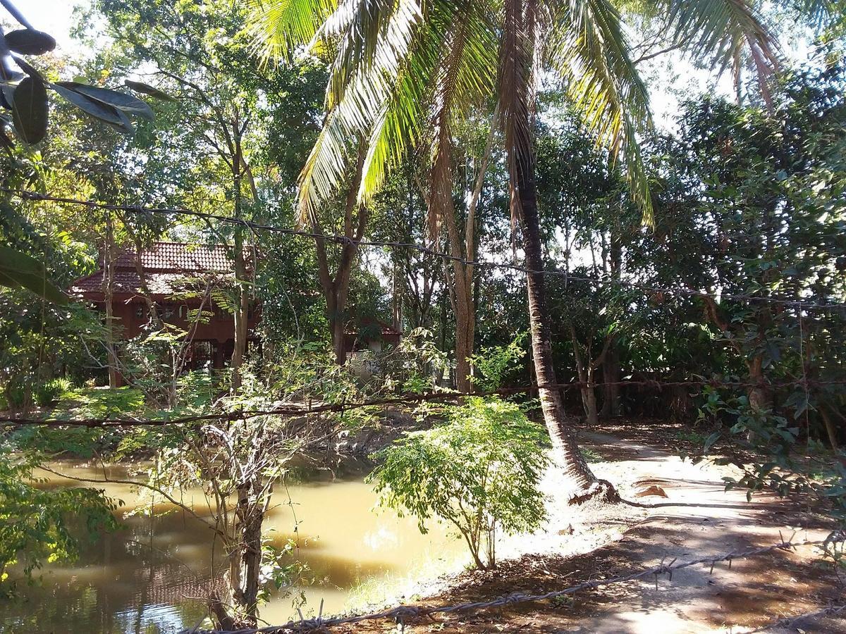Your Home In Mae Rim Ban Muang Pha 외부 사진