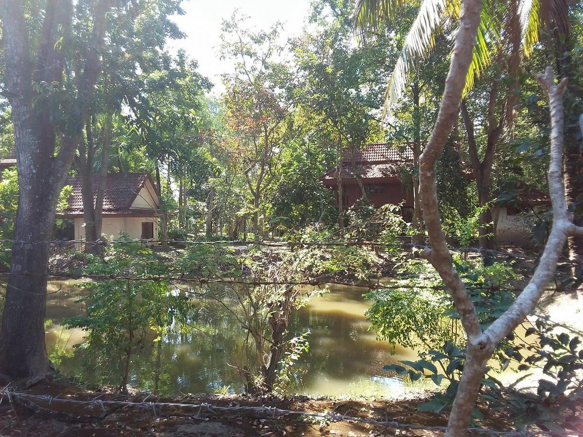 Your Home In Mae Rim Ban Muang Pha 외부 사진